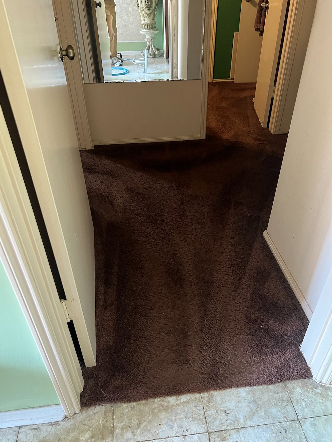 carpet cleaning,steam cleaning,Deep cleaning,Missouri city tx  (2) Thumbnail