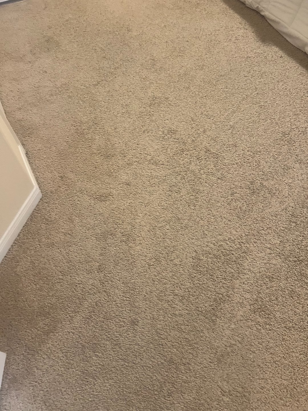 carpet cleaning,steam cleaning,Deep cleaning,Missouri city