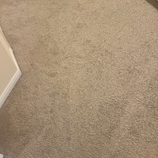 carpet-cleaningsteam-cleaningDeep-cleaningMissouri-city 0