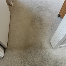 carpet-cleaningsteam-cleaningDeep-cleaning-Baytown-tx-3 1