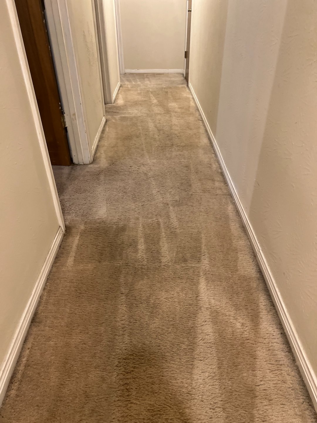 carpet cleaning,steam cleaning,Deep cleaning,pearland tx  (1)