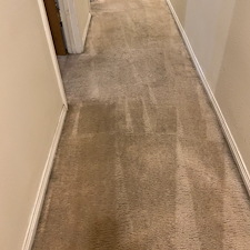 carpet-cleaningsteam-cleaningDeep-cleaningpearland-tx-1 1