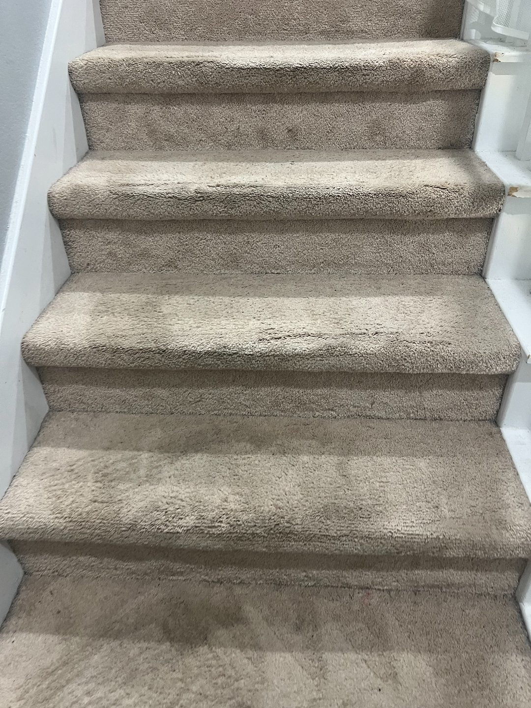 carpet cleaning,steam cleaning,Deep cleaning, pearland tx