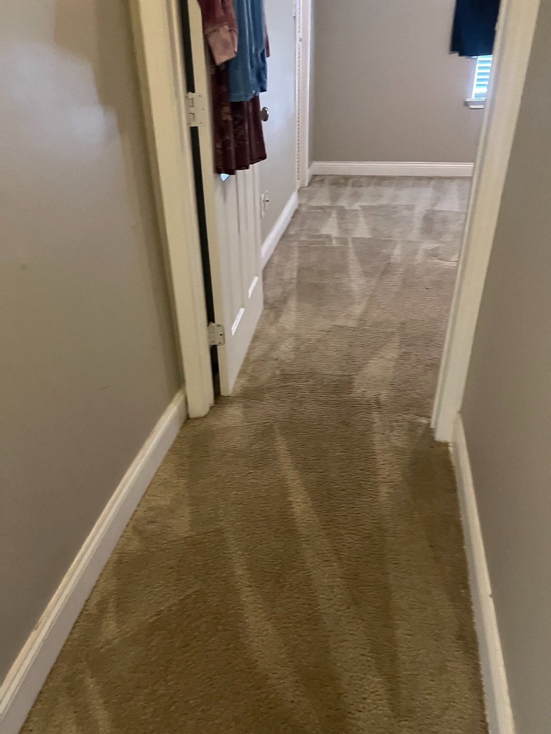 carpet cleaning,steam cleaning,Deep cleaning,Crosby tx 1