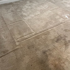 carpet-cleaningsteam-cleaningDeep-cleaningCrosby-tx-1 1