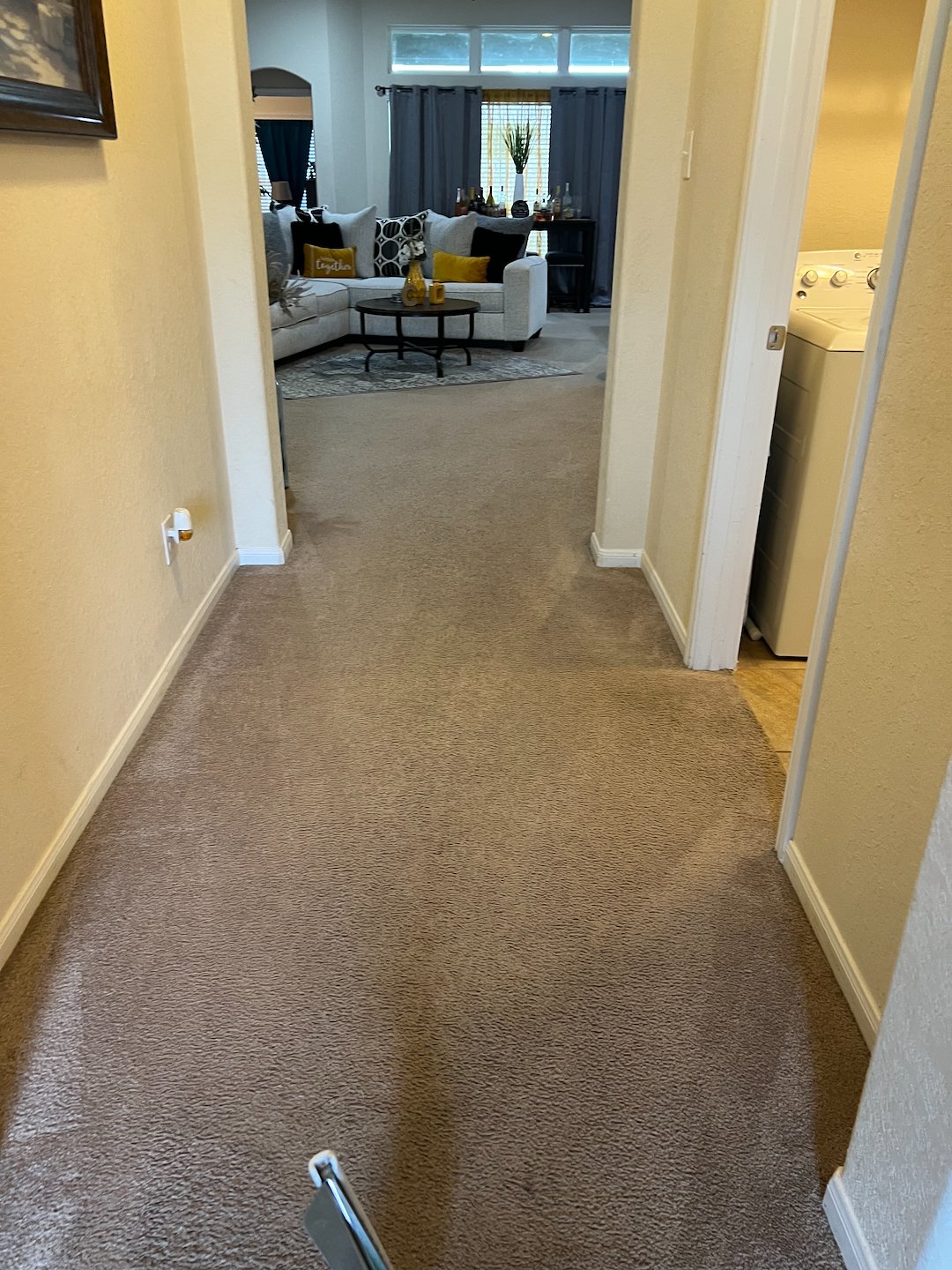 carpet cleaning,steam cleaning,Deep cleaning,Humble tx 2