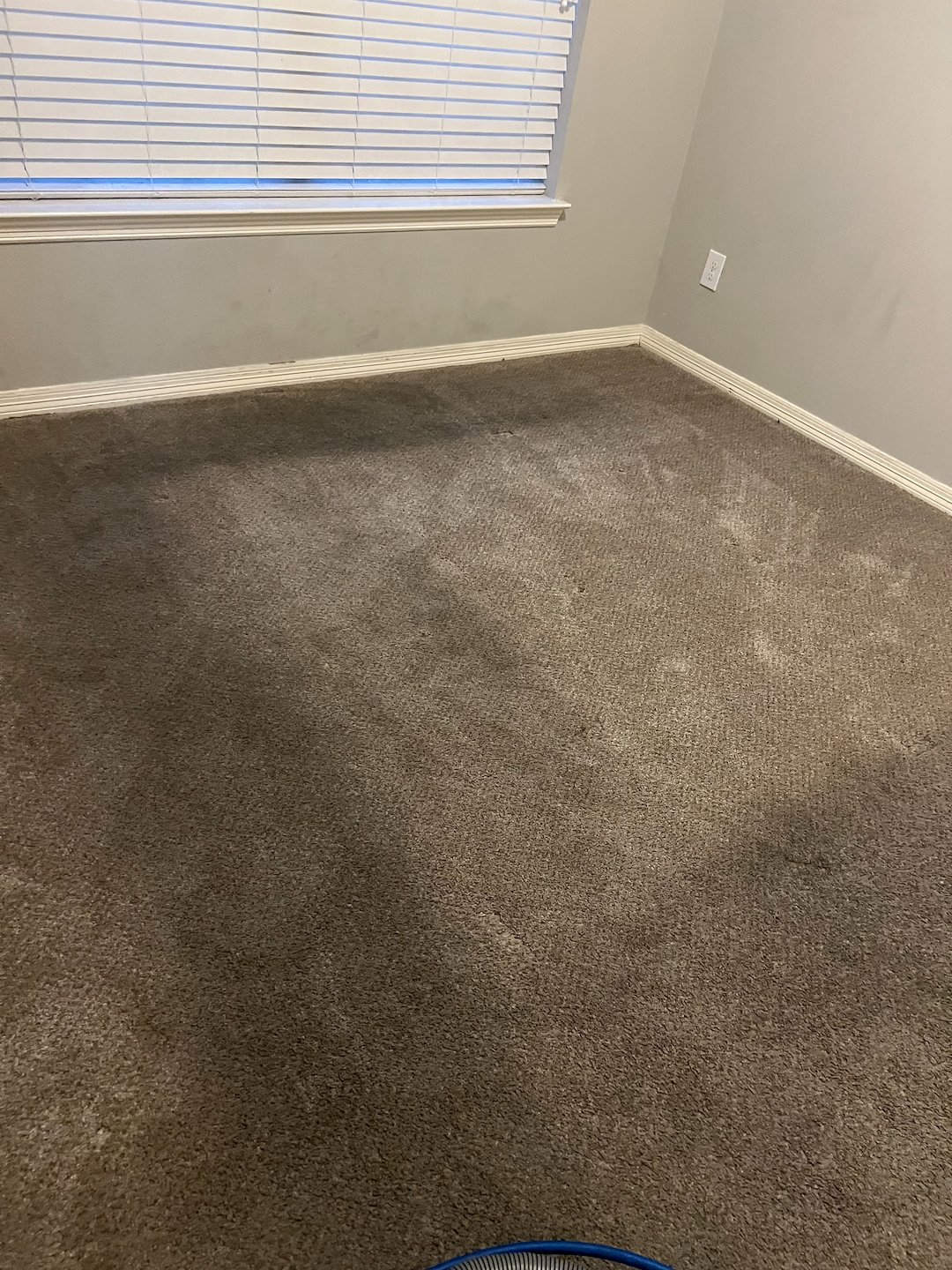 carpet cleaning,steam cleaning,deep cleaning,Baytown tx 7
