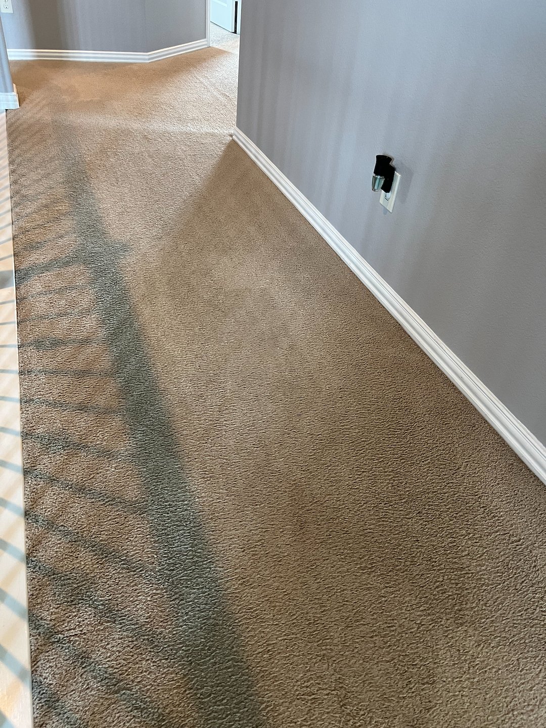 carpet cleaning,steam cleaning,deep cleaning,Humble tx 3