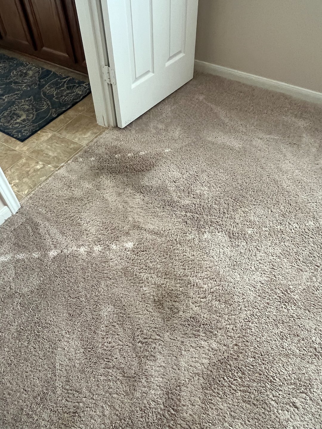 carpet cleaning,steam cleaning,Deep cleaning,Baytown tx (10) Thumbnail