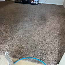 carpet-cleaningsteam-cleaningDeep-cleaningBaytown-tx-10 1