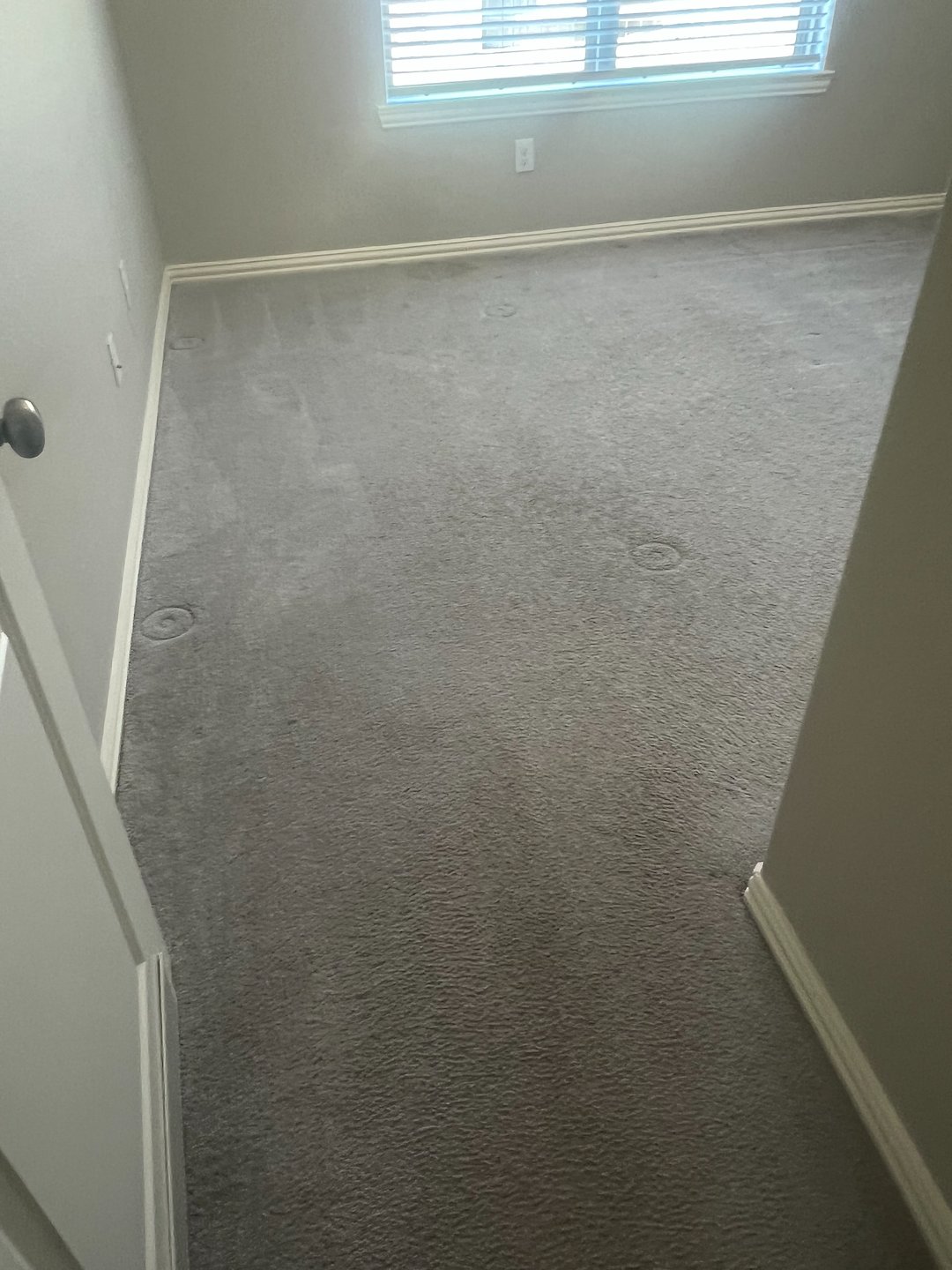 carpet cleaning,steam cleaning,Deep cleaning,Baytown tx  (11)