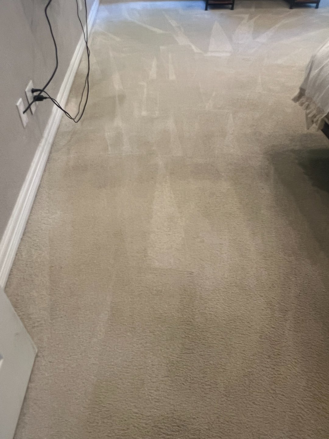 Carpet cleaning,steam cleaning,Baytown tx  (1)