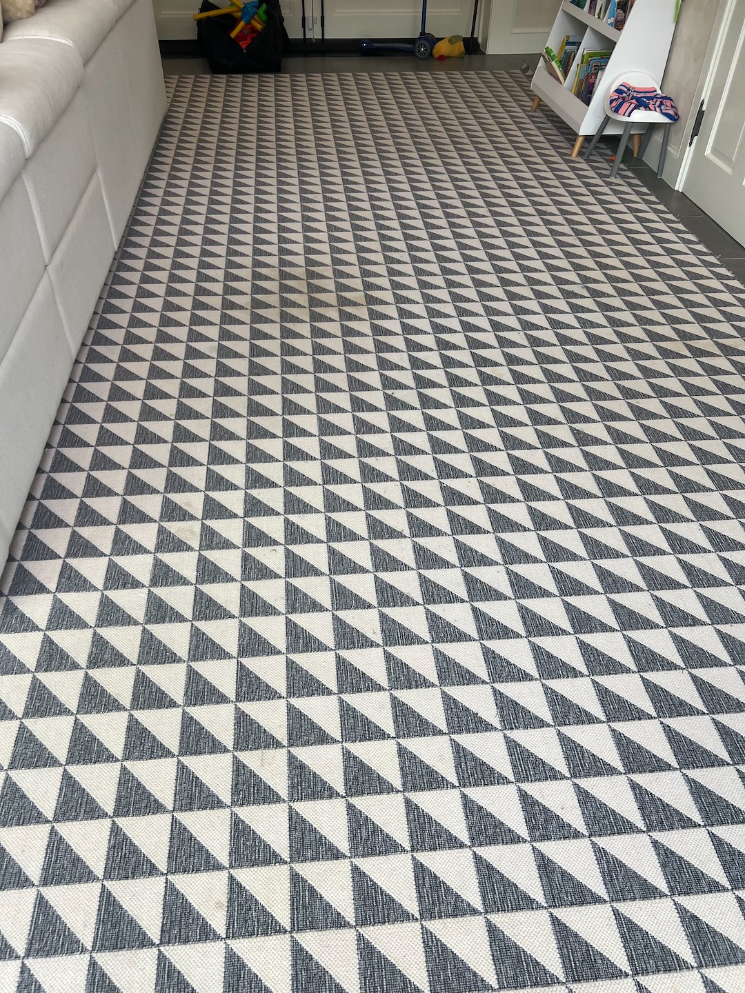 Carpet cleaning,steam cleaning,shampooing,Richmond tx  (1)