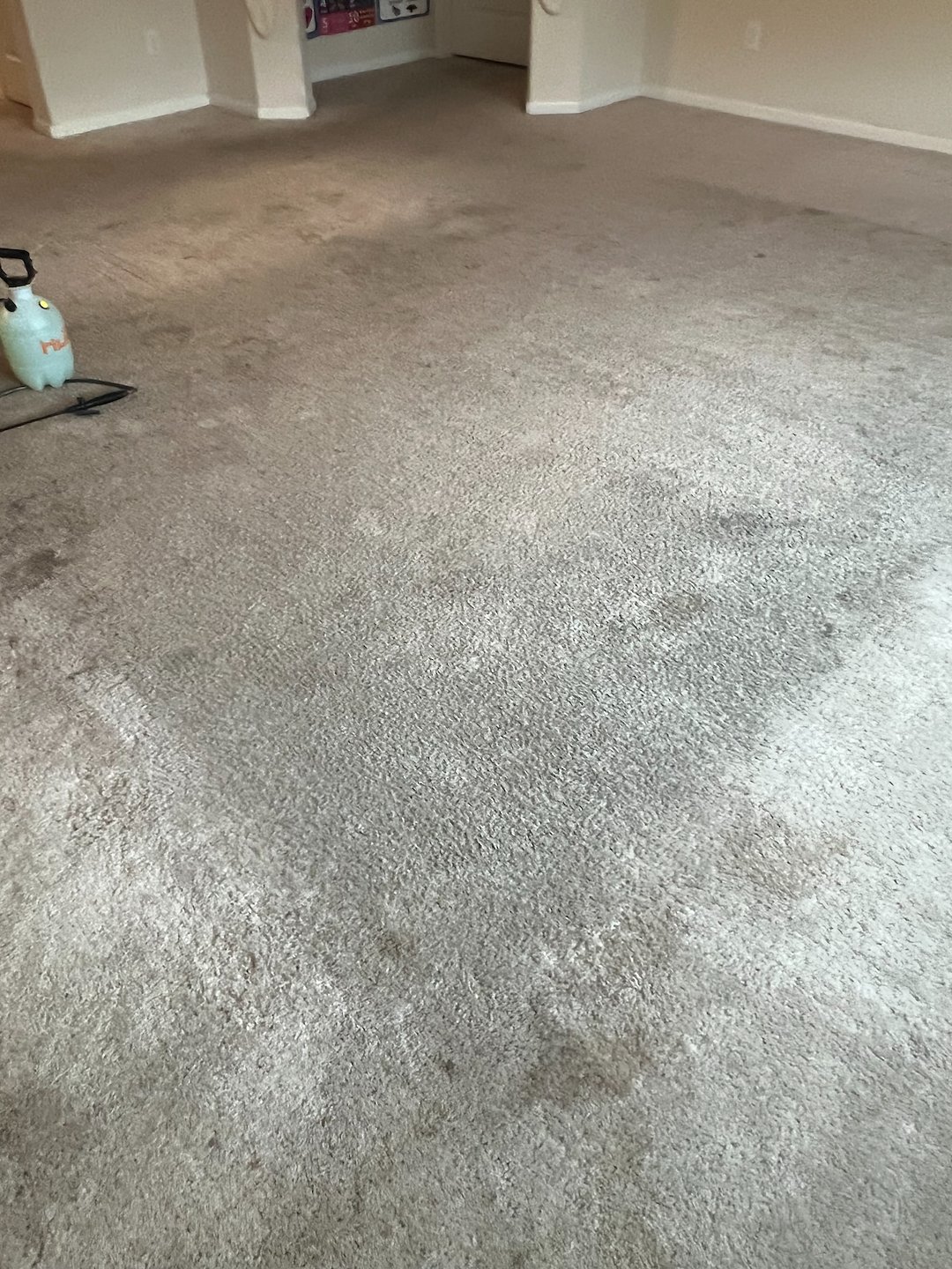 carpet cleaning,steam cleaning,Deep cleaning,Beaumont Texas 