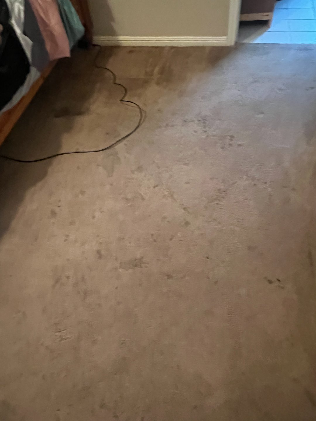 carpet cleaning,steam cleaning,shampooing,friendswood tx  (1) Thumbnail