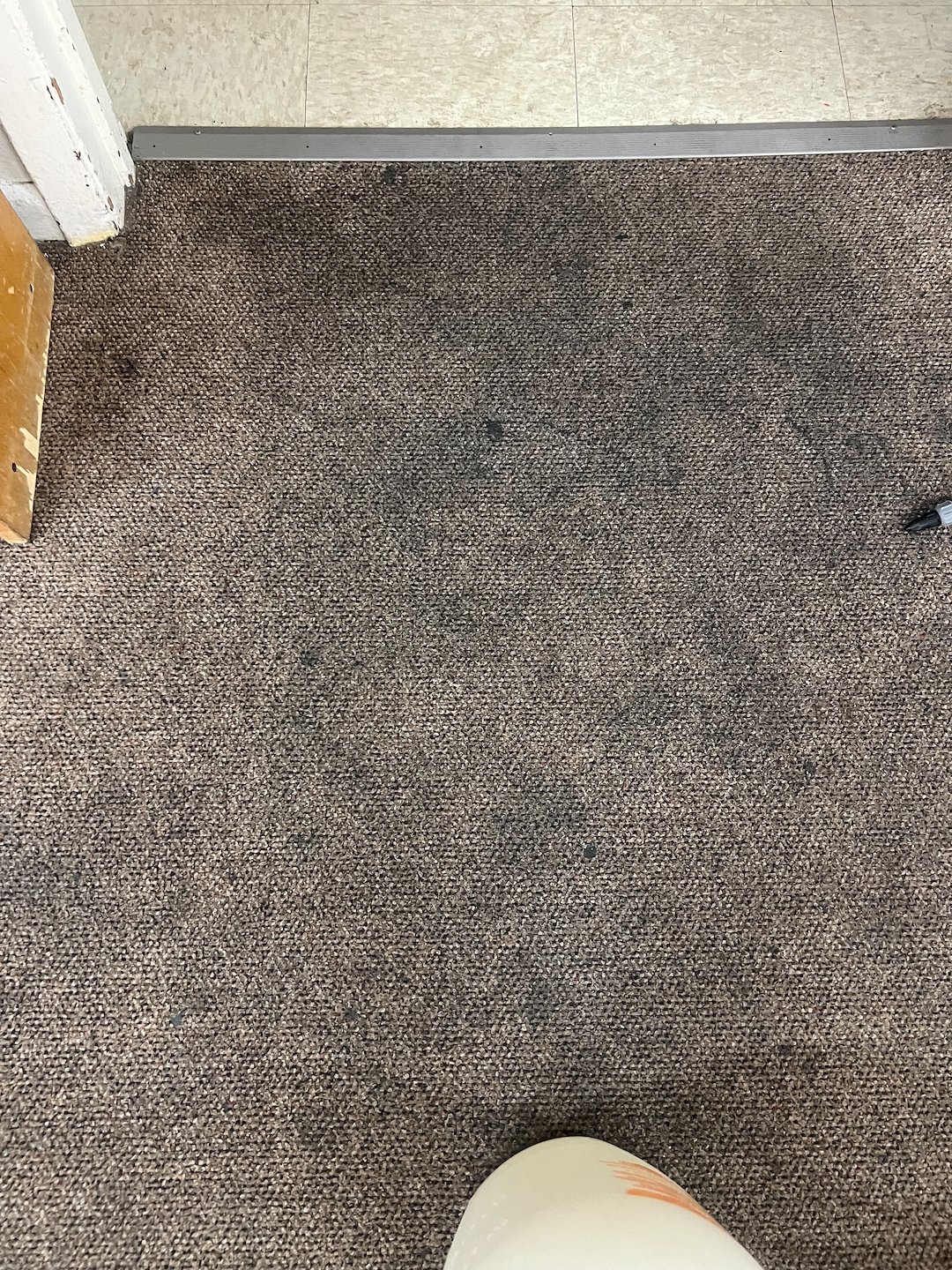 Commercial carpet cleaning, steam cleaning, Deep cleaning, Crosby texas 