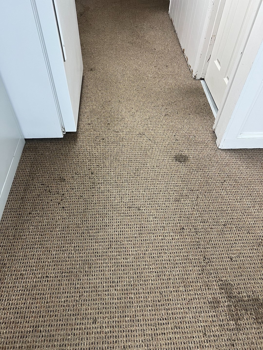 Commercial cleaning,steam cleaning,deep cleaning,Baytown tx  Thumbnail