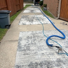 Pet-stain-Removal-Deep-Cleaning-Steam-cleaning-Humble-Tx 0