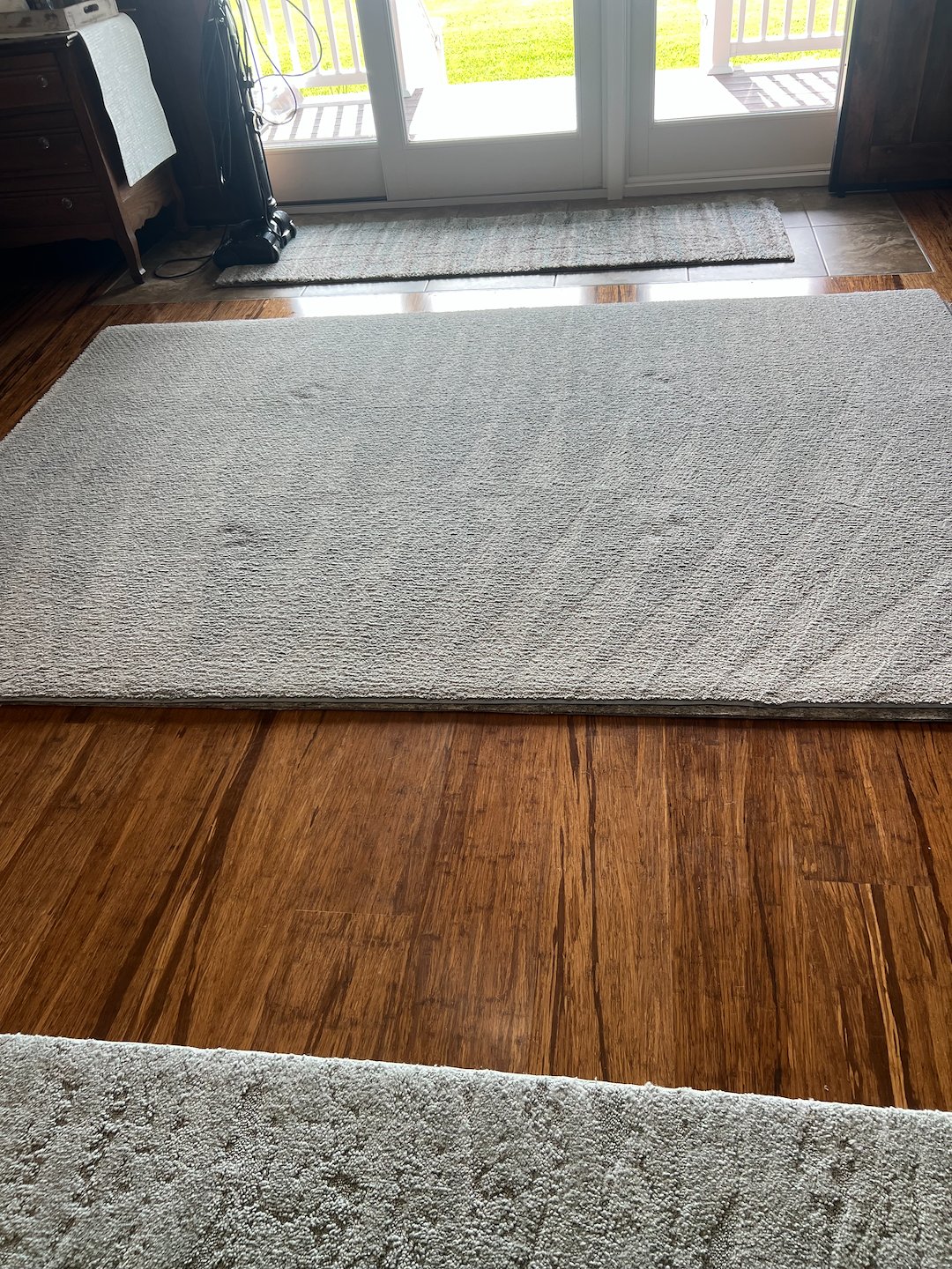 Pet stain removal, steam cleaning, Deep cleaning, Baytown Texas Beach city 