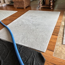 Pet-stain-removal-steam-cleaning-Deep-cleaning-Baytown-Texas-Beach-city 1
