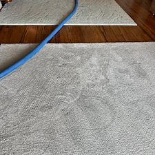 Pet-stain-removal-steam-cleaning-Deep-cleaning-Baytown-Texas-Beach-city 0