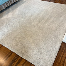 Pet-stain-removal-steam-cleaning-Deep-cleaning-Baytown-Texas-Beach-city 2
