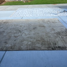 Pet-stain-removalEnzymes-cleaning-Deep-cleaning-cypress-Texas 1