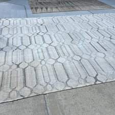 Pet-stain-removalEnzymes-cleaning-Deep-cleaning-cypress-Texas 0