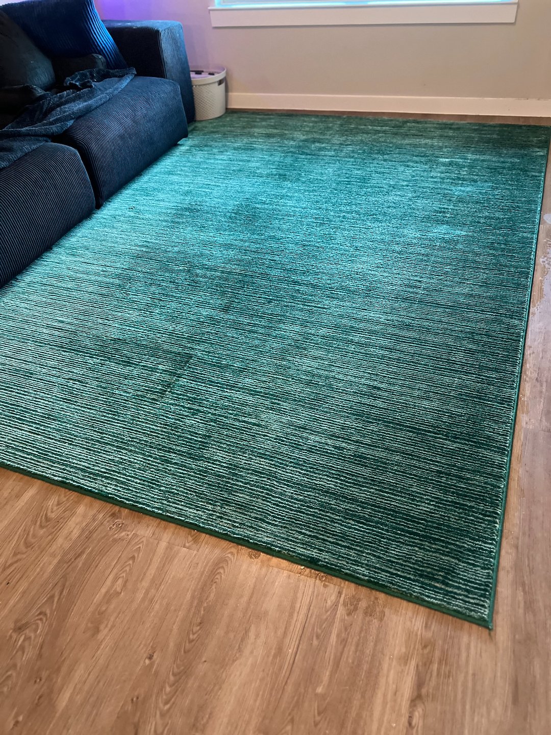 Pet stain removal,shampooing.Deep cleaning.stain removal,Pasadena tx 