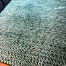 Pet-stain-removalshampooingDeep-cleaningstain-removalPasadena-tx 0