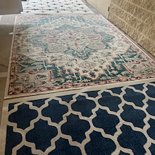 Pet-stain-Removalsteam-cleaningDeep-cleaningkaty-tx 0