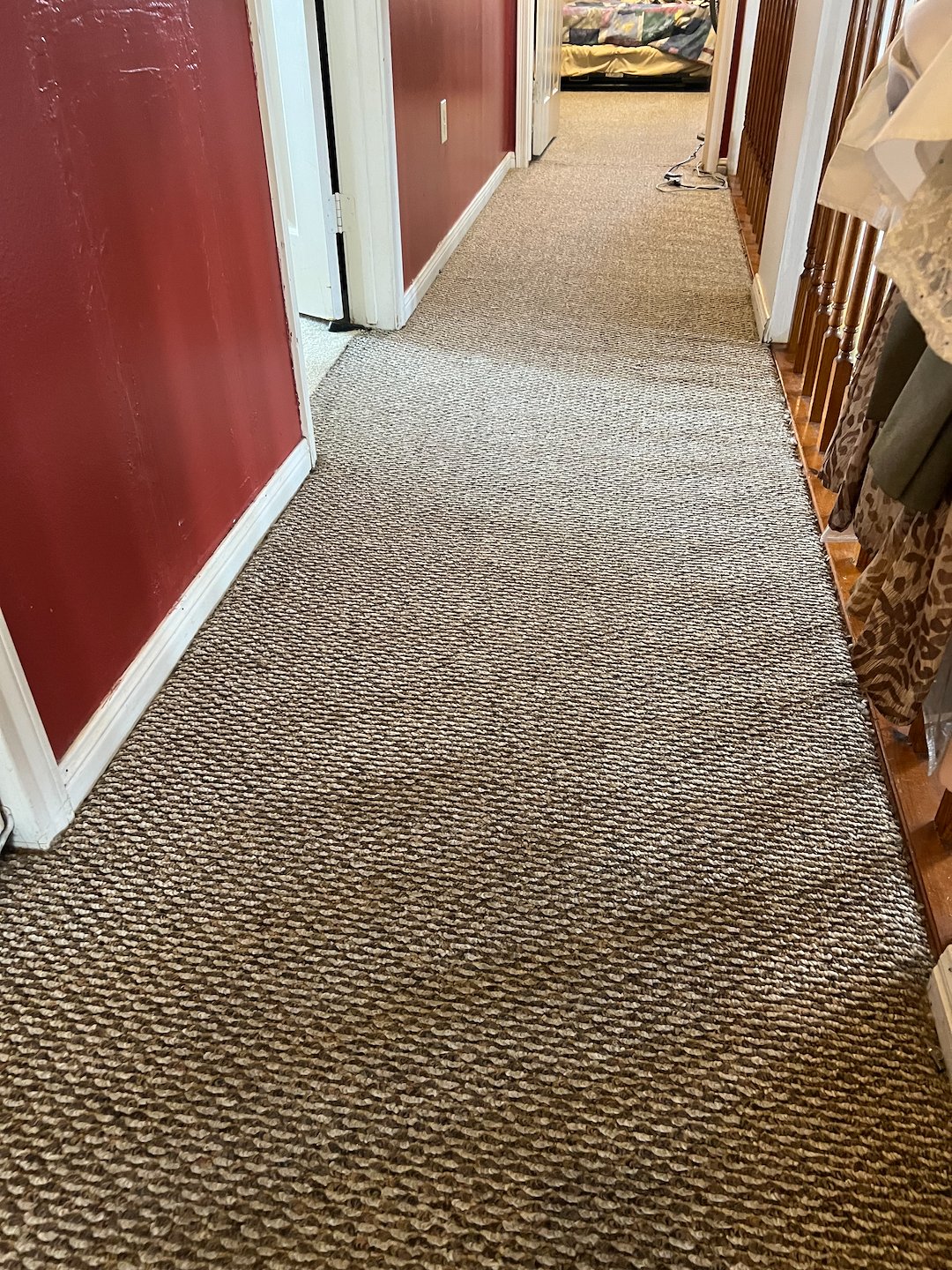 Pet stain removal,steam cleaning,Deep cleaning,Baytown tx  Thumbnail