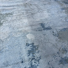 Pet-stains-Removalpet-treatmentsteam-cleaningfriendswood-tx 0