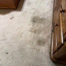 petstains-removalDeep-cleaningsteam-cleaningpearland-tx 1