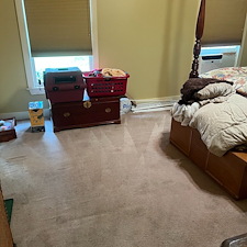 petstains-removalDeep-cleaningsteam-cleaningpearland-tx 0