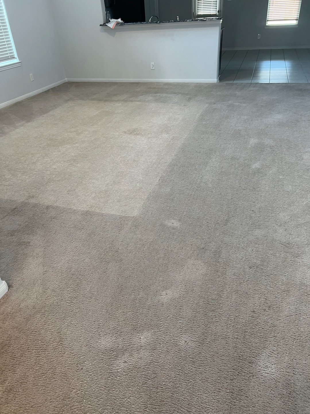 Professional carpet cleaning, steam cleaning,Deep cleaning, Richmond Texas 