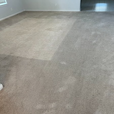 Professional-carpet-cleaning-steam-cleaningDeep-cleaning-Richmond-Texas 0