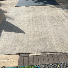 Professional-carpet-cleaning-near-me 1