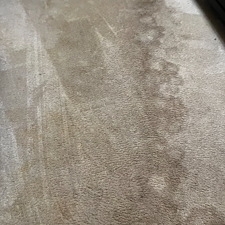 steam-cleaning-carpet-cleaner-shampooing-Beaumont-Texas 0