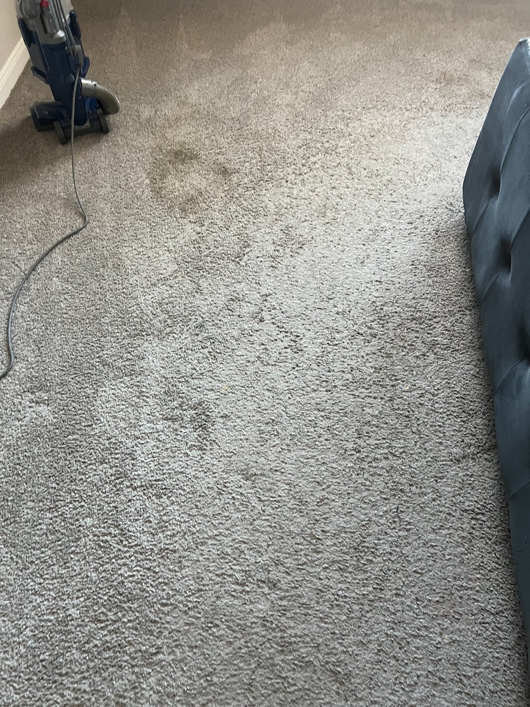 Steam cleaning,deep cleaning.shampooing,Pasadena tx  Thumbnail