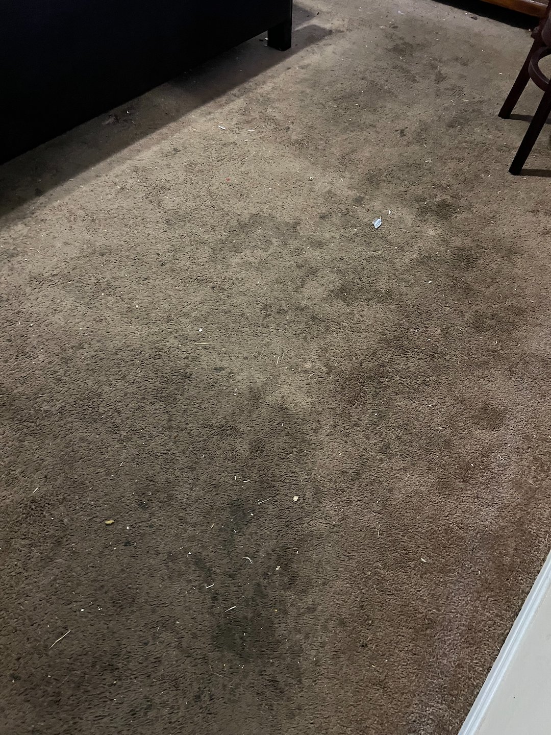 Steam cleaning,Deep cleaning,carpet cleaning,Baytown tx  (1) Thumbnail