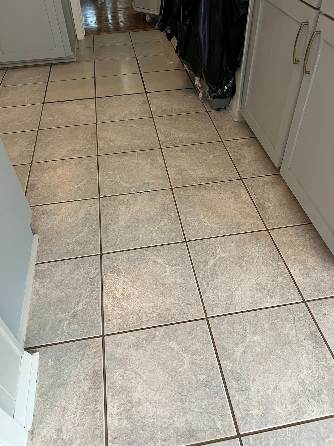 Tile& grout cleaning, steam cleaning, deep clean, Crosby Tx 
