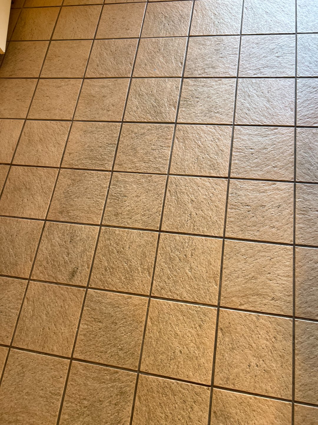 Tile grout,  floor cleaning, strip waxing  katy Texas 