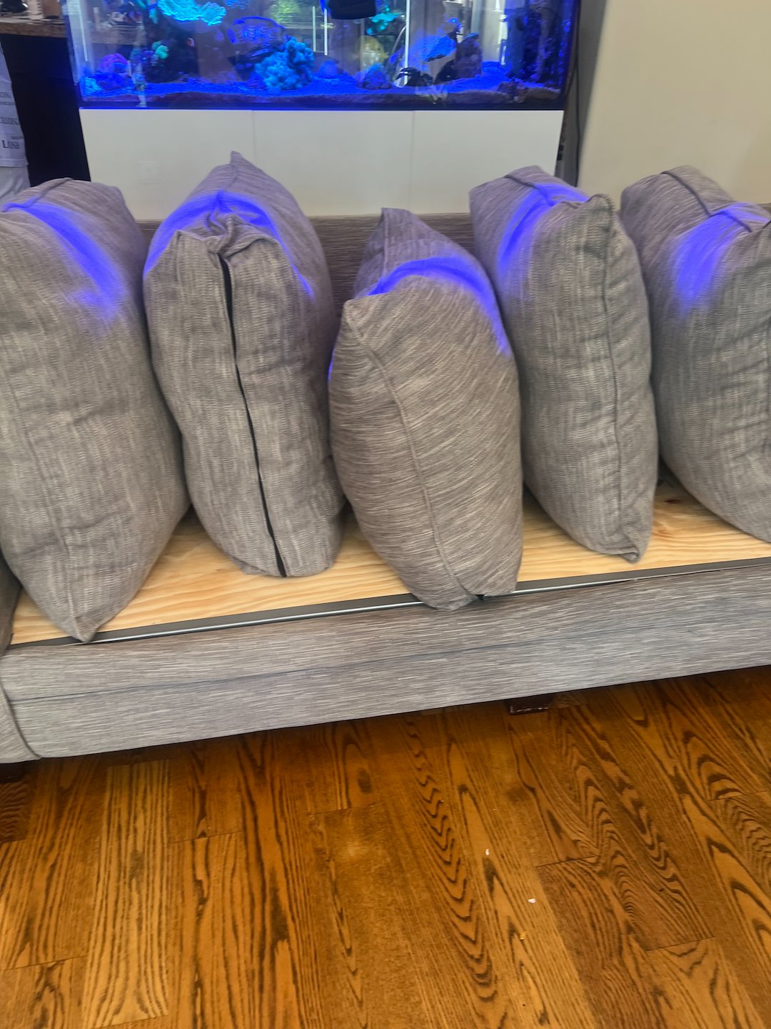 upholstery cleaning,Deep Cleaning,steam cleaning,Galveston tx