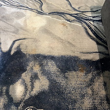 upholstery-cleaningsteam-cleaningDeep-cleaningcypress-tx 0